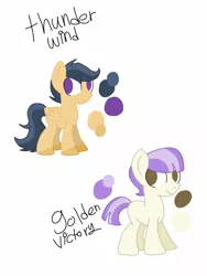 Size: 1536x2048 | Tagged: safe, artist:smileverse, derpibooru import, oc, oc:golden victory, oc:thunder wind, unofficial characters only, earth pony, pegasus, pony, offspring, parent:diamond tiara, parent:featherweight, parent:rumble, parent:scootaloo, parents:diamondweight, parents:rumbloo, reference sheet, simple background