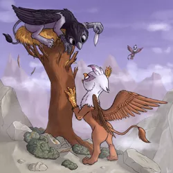 Size: 1500x1500 | Tagged: safe, artist:hieronymuswhite, derpibooru import, gilda, giselle, irma, gryphon, angry, bush, claws, dead tree, feather, flying, folded wings, image, jpeg, keep away, looking at each other, misty brightdawn, mountain, mountain range, nest, perching, spread wings, straw, teasing, tree, wings