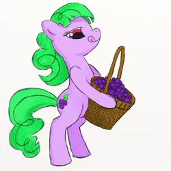 Size: 1296x1296 | Tagged: artist:huckleberrypony, basket, berries, derpibooru import, huckleberries, oc, oc:huckleberry, safe, solo, unofficial characters only