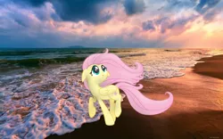 Size: 760x475 | Tagged: artist:hannaspeert123, derpibooru import, fluttershy, irl, looking up, ocean, photo, ponies in real life, safe, solo, vector