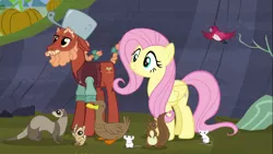 Size: 1122x632 | Tagged: safe, derpibooru import, screencap, fluttershy, sprig hooffield, bird, chipmunk, duck, earth pony, ferret, mouse, pegasus, pony, squirrel, the hooffields and mccolts, animal, braid, braided tail, clothes, critters, female, hooffield family, house finch, johnny appleseed, male, mare, pot, stallion