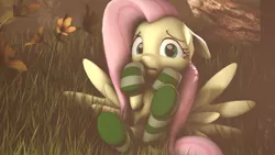 Size: 1920x1080 | Tagged: 3d, artist:masterderp1, clothes, derpibooru import, flower, fluttershy, grass, safe, shy, socks, solo, source filmmaker, striped socks