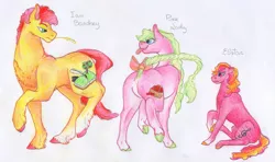 Size: 5472x3240 | Tagged: safe, artist:dawn22eagle, derpibooru import, oc, oc:bardsey, oc:elstar, oc:pink lady, unofficial characters only, earth pony, pony, next generation, offspring, parent:big macintosh, parent:cheerilee, parents:cheerimac, traditional art