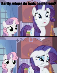 Size: 1012x1300 | Tagged: cringing, derpibooru import, meme, naive sweetie belle, rarity, safe, screencap, sweetie belle, the birds and the bees, the talk