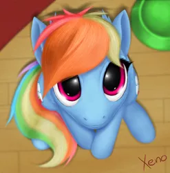 Size: 1024x1038 | Tagged: safe, artist:the1xeno1, derpibooru import, rainbow dash, cute, dashabetes, looking at you, solo