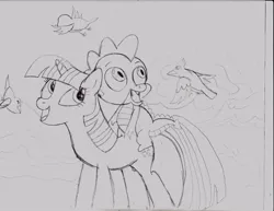 Size: 825x637 | Tagged: safe, artist:ced75, derpibooru import, spike, twilight sparkle, dragon, pony, unicorn, winter wrap up, dragons riding ponies, duo, female, grayscale, male, mare, monochrome, riding, sketch, unicorn twilight