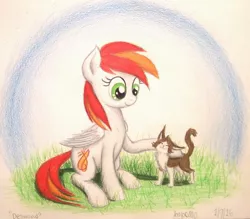 Size: 955x836 | Tagged: safe, artist:thefriendlyelephant, derpibooru import, oc, unofficial characters only, cat, pegasus, pony, duo, gift art, grass, pet, pet oc, traditional art, wings