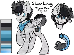 Size: 908x682 | Tagged: safe, artist:iroxykun, derpibooru import, oc, oc:silver lining, unofficial characters only, pegasus, pony, comic:trans ponies, bandana, cutie mark, facial hair, male, reference sheet, stallion, wings