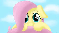 Size: 1920x1080 | Tagged: artist:infinitoa, derpibooru import, filly, filly fluttershy, fluttershy, hiding behind tail, looking at you, safe, shy, solo