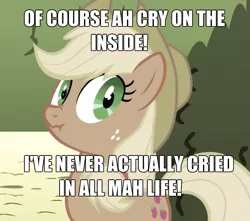 Size: 803x711 | Tagged: safe, derpibooru import, screencap, applejack, earth pony, pony, accent, crying inside, female, image macro, impact font, liar face, liarjack, mare, meme, scrunchy face, solo