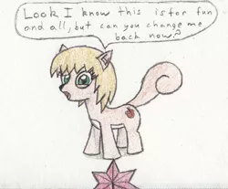 Size: 983x813 | Tagged: artist:eternaljonathan, derpibooru import, hybrid, ponified, safe, squirrel pony, traditional art