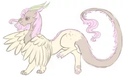 Size: 1178x731 | Tagged: artist:aidapone, derpibooru import, hybrid, interspecies offspring, oc, oc:humming bird, offspring, parent:discord, parent:fluttershy, parents:discoshy, safe, simple background, solo, unofficial characters only, white background