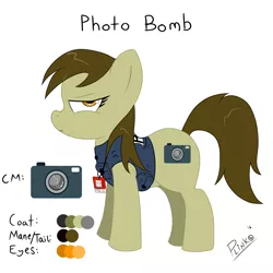 Size: 2000x2000 | Tagged: safe, artist:plinko, derpibooru import, oc, oc:photo bomb, unofficial characters only, earth pony, pony, photographer, reference sheet