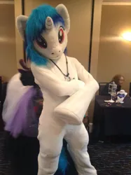 Size: 600x804 | Tagged: clothes, cosplay, costume, derpibooru import, fursuit, human, irl, irl human, photo, safe, vinyl scratch