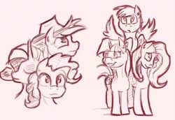 Size: 737x507 | Tagged: safe, artist:post-it, derpibooru import, applejack, fluttershy, pinkie pie, rainbow dash, rarity, twilight sparkle, twilight sparkle (alicorn), alicorn, pony, female, mane six, mare, monochrome, portrait, sketch