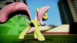 Size: 1920x1080 | Tagged: 3d, artist:tacko marceno, derpibooru import, fart, fluttershy, gmod, safe, solo