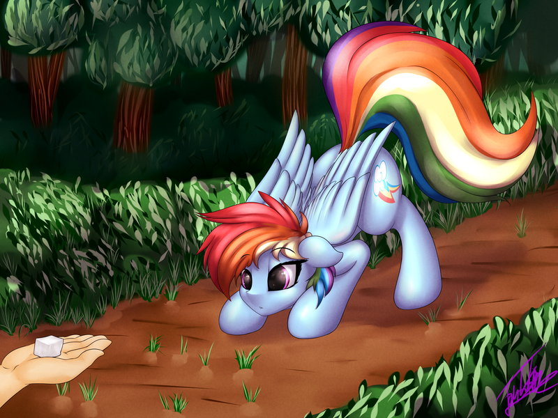 Size: 4000x3000 | Tagged: safe, artist:elzzombie, derpibooru import, rainbow dash, human, pegasus, pony, :o, cute, dashabetes, eyes on the prize, face down ass up, female, floppy ears, forest, hand, image, mare, png, pounce, solo focus, sugarcube