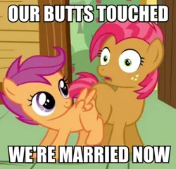 Size: 468x450 | Tagged: babscoot, babs seed, butt bump, butt to butt, butt touch, derpibooru import, image macro, meme, one bad apple, safe, scootaloo, screencap, shipping