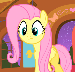 Size: 501x481 | Tagged: animated, cute, derpibooru import, fluttershy, safe, screencap, shyabetes, solo, stare master