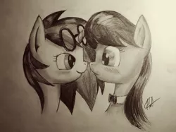 Size: 1155x866 | Tagged: source needed, safe, artist:novich, derpibooru import, octavia melody, vinyl scratch, female, lesbian, monochrome, scratchtavia, shipping