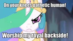 Size: 1201x677 | Tagged: caption, demands, derpibooru import, edit, edited screencap, image macro, meme, princess celestia, screencap, solo, suggestive