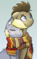 Size: 1203x1920 | Tagged: safe, artist:pezzhippo, derpibooru import, derpy hooves, doctor whooves, time turner, pegasus, pony, blushing, clothes, doctorderpy, female, looking away, male, mare, scarf, shared clothing, shared scarf, shipping, snuggling, straight, wink