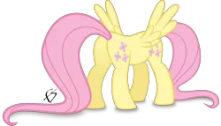 Size: 5240x3000 | Tagged: safe, artist:facelesssoles, derpibooru import, fluttershy, buttpony, pegasus, pony, absurd resolution, conjoined, conjoined twins, not salmon, plot, simple background, solo, spread wings, transparent background, wat, what has magic done, what has science done, wings