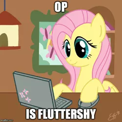 Size: 500x500 | Tagged: derpibooru import, fluttershy, image macro, meme, op, op is fluttershy, reaction image, safe, solo