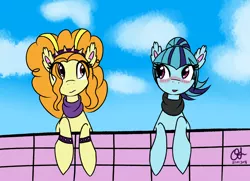 Size: 4140x3000 | Tagged: safe, artist:owlisun, derpibooru import, adagio dazzle, sonata dusk, ponified, equestria girls, blushing, clothes, cloud, equestria girls ponified, scarf, sky