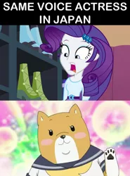 Size: 620x840 | Tagged: safe, derpibooru import, rarity, equestria girls, anime, exploitable meme, japanese, japanese dub, meme, mikoi sasaki, same voice actor, shiba inuko-san