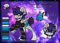 Size: 1121x809 | Tagged: safe, artist:iroxykun, derpibooru import, oc, oc:sweater weather, unofficial characters only, pegasus, pony, clothes, cutie mark, facial hair, glasses, male, piercing, reference sheet, solo, stallion, sweater, text, transgender, wings