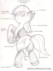 Size: 759x1012 | Tagged: artist needed, suggestive, derpibooru import, ponified, earth pony, pony, crossover, diagram, epona, female, mare, monochrome, plot, rearing, saddle, the legend of zelda, traditional art, unshorn fetlocks