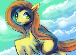 Size: 1280x937 | Tagged: airborne, artist:cherivinca, derpibooru import, fluttershy, looking at you, safe, sky, solo