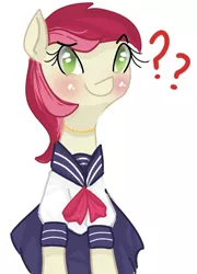 Size: 530x737 | Tagged: 8chan, artist:anonymous, derpibooru import, /pone/, roseluck, safe, solo