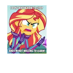 Size: 700x700 | Tagged: safe, derpibooru import, edit, edited screencap, screencap, sunset shimmer, equestria girls, friendship games, angry, bad cropping, caption, image macro, meme, solo, sunset is not willing to learn