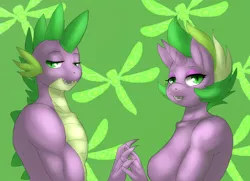 Size: 990x715 | Tagged: anthro, artist:lurking tyger, barb, breasts, derpibooru import, featureless breasts, female, male, ponified spike, rule 63, safe, selfcest, self ponidox, shipping, sideboob, spike, spikebarb, straight