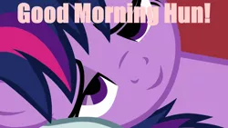 Size: 960x540 | Tagged: derpibooru import, image macro, meme, morning ponies, pink text, safe, solo, twilight sparkle, waking up