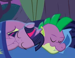 Size: 1024x791 | Tagged: safe, artist:neonglowlight, derpibooru import, spike, twilight sparkle, dragon, pony, cuddling, female, male, older, older spike, shipping, sleeping, snuggling, straight, twispike, vector