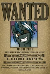 Size: 1084x1599 | Tagged: safe, artist:anonymous, derpibooru import, oc, oc:high tide, unofficial characters only, pony, unicorn, looking at you, solo, wanted poster