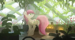 Size: 2000x1062 | Tagged: artist:fuzzyfox11, derpibooru import, flower, garden, greenhouse, plants, roseluck, safe, solo, vine