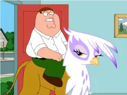 Size: 800x595 | Tagged: safe, derpibooru import, gilda, gryphon, door, family guy, female, frown, glare, gritted teeth, humans riding griffons, lidded eyes, looking back, peter griffin, pun, riding, unamused