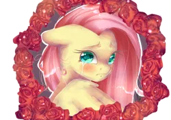 Size: 3000x2100 | Tagged: artist:xkittyblue, bust, colored pupils, crying, derpibooru import, floppy ears, flower, fluttershy, looking at you, portrait, rose, safe, solo, turning