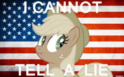 Size: 1920x1200 | Tagged: applejack, derpibooru import, flag, liar face, liarjack, meme, politics, safe, scrunchy face, text, united states