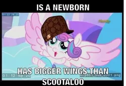 Size: 652x449 | Tagged: derpibooru import, drama, flurry heart drama, hat, image macro, meme, princess flurry heart, safe, screencap, scumbag hat, spoiler:s06