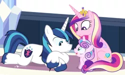 Size: 900x540 | Tagged: safe, artist:dm29, derpibooru import, princess cadance, princess flurry heart, shining armor, alicorn, pony, unicorn, spoiler:s06, cute, eye contact, female, flurrybetes, julian yeo is trying to murder us, looking at each other, male, mare, open mouth, prone, sitting, smiling, stallion, trio