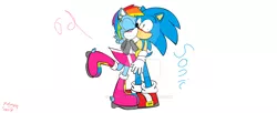 Size: 1024x419 | Tagged: safe, artist:enderfoxygirl, derpibooru import, rainbow dash, anthro, plantigrade anthro, crossover, female, interspecies, male, sonicdash, sonicified, sonic the hedgehog, sonic the hedgehog (series), straight, watermark