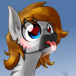 Size: 1000x1000 | Tagged: safe, artist:studlyhorn, derpibooru import, oc, oc:kouprisa, unofficial characters only, earth pony, zebra, :p, against glass, blushing, cute, drool, fourth wall, glass, heart eyes, image, licking, male, png, portrait, solo, tongue out, wingding eyes