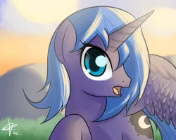 Size: 1280x1024 | Tagged: artist:mister-markers, derpibooru import, princess luna, s1 luna, safe, solo