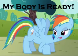Size: 1040x748 | Tagged: aroused, artist:slb94, asking for it, ass up, bedroom eyes, derpibooru import, estrus, iwtcird, mating season, meme, my body is ready, rainbow dash, suggestive