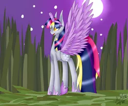 Size: 3024x2500 | Tagged: alicorn costume, artist:midfire, clothes, cosplay, costume, derpibooru import, derpy hooves, fake horn, fake wings, nightmare night, nightmare night costume, safe, scare master, solo, toilet paper roll, toilet paper roll horn, twilight muffins, wig